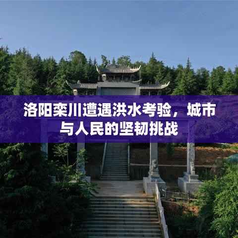 洛阳栾川遭遇洪水考验，城市与人民的坚韧挑战