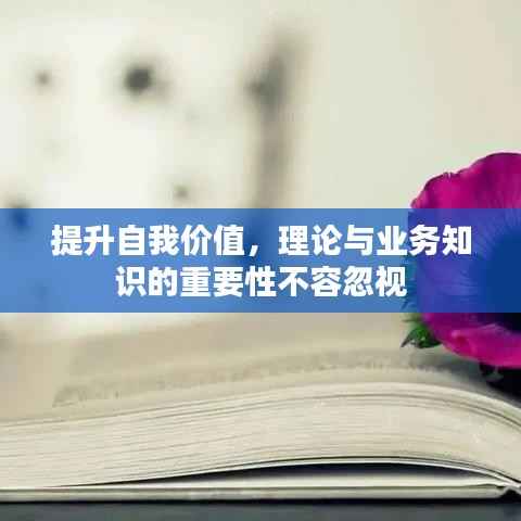 提升自我价值,理论与业务知识的重要性不容忽视