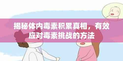 揭秘体内毒素积累真相，有效应对毒素挑战的方法