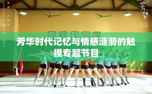 芳华时代记忆与情感涟漪的触摸专题节目