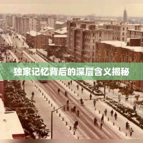 独家记忆背后的深层含义揭秘