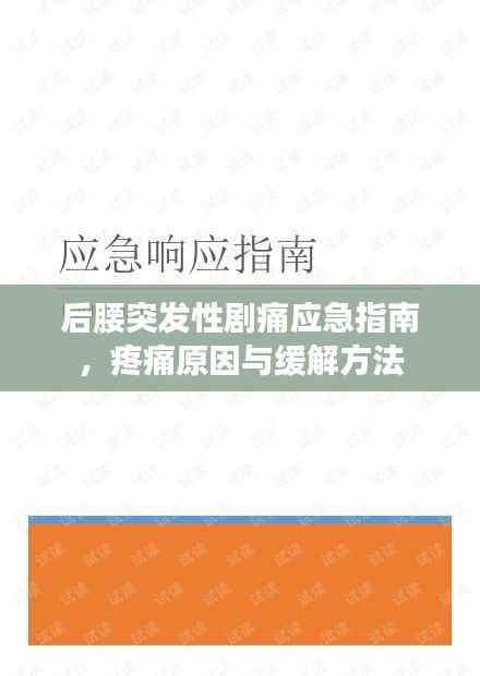 后腰突发性剧痛应急指南，疼痛原因与缓解方法