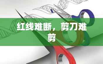 红线难断，剪刀难剪