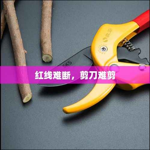 红线难断,剪刀难剪