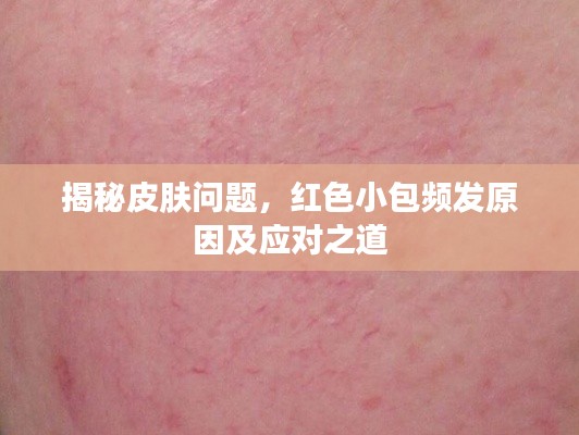 揭秘皮肤问题，红色小包频发原因及应对之道