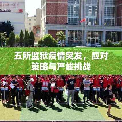 五所监狱疫情突发，应对策略与严峻挑战