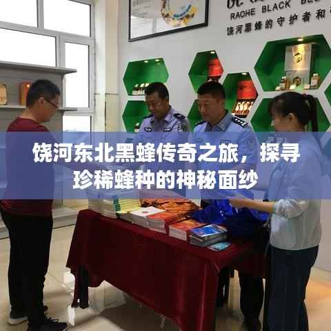 饶河东北黑蜂传奇之旅，探寻珍稀蜂种的神秘面纱