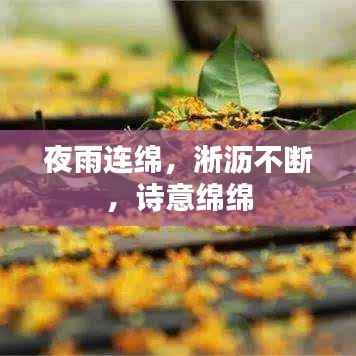 夜雨连绵,淅沥不断,诗意绵绵