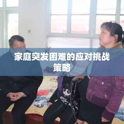 家庭突发困难的应对挑战策略