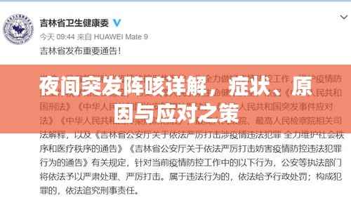 夜间突发阵咳详解，症状、原因与应对之策