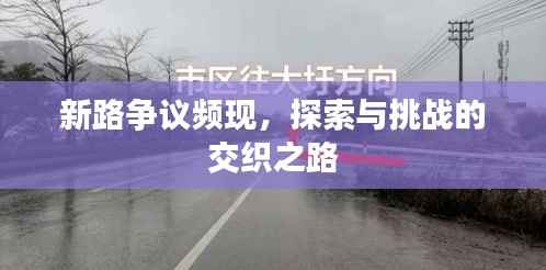 新路争议频现，探索与挑战的交织之路