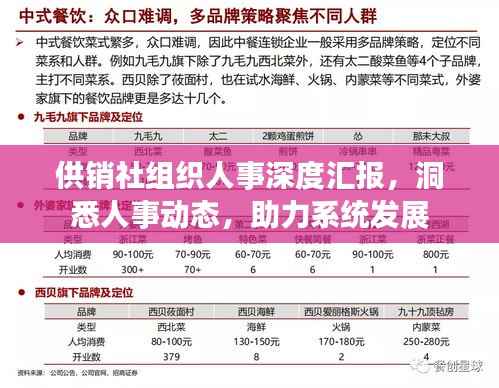 供销社组织人事深度汇报，洞悉人事动态，助力系统发展