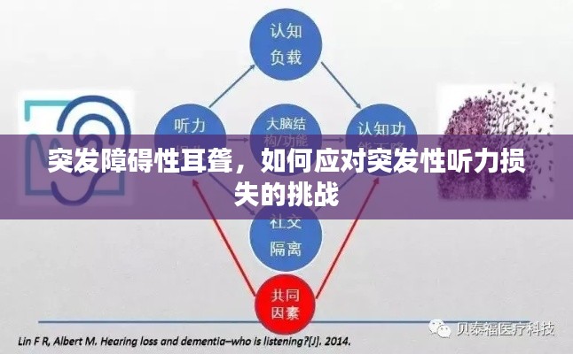 突发障碍性耳聋，如何应对突发性听力损失的挑战