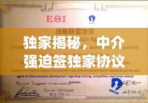 独家揭秘，中介强迫签独家协议背后的真相与应对策略！