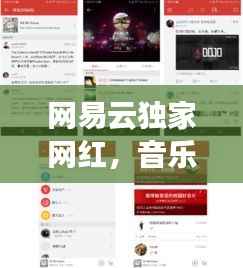 网易云独家网红，音乐与社交的新纪元现象