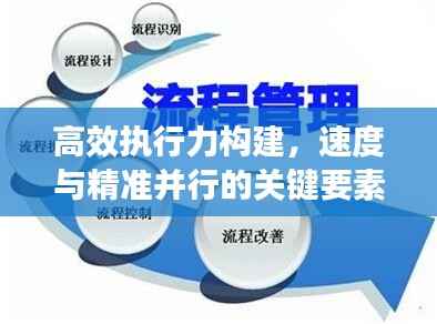 高效执行力构建，速度与精准并行的关键要素