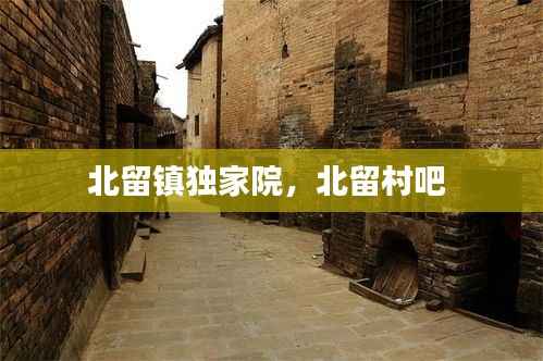 北留镇独家院,北留村吧