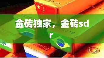 金砖独家，金砖sdr 
