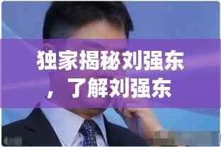 独家揭秘刘强东，了解刘强东 