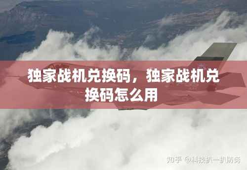 独家战机兑换码，独家战机兑换码怎么用 