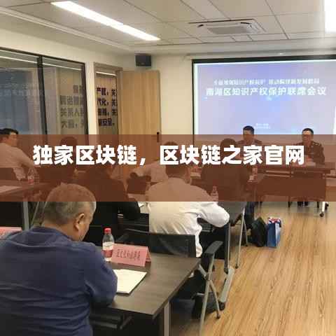 独家区块链，区块链之家官网 