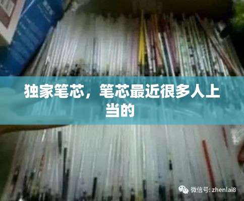 独家笔芯，笔芯最近很多人上当的 