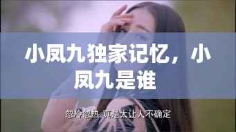 小凤九独家记忆，小凤九是谁 