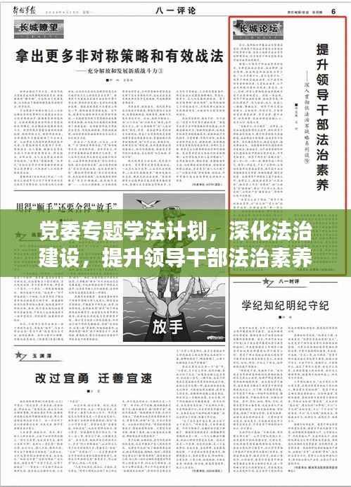 党委专题学法计划，深化法治建设，提升领导干部法治素养