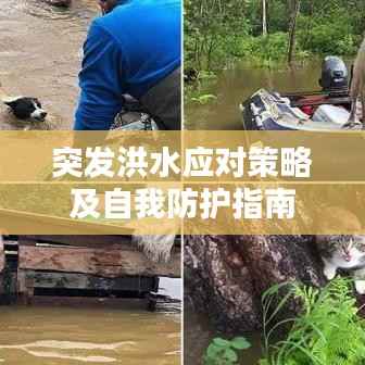 突发洪水应对策略及自我防护指南