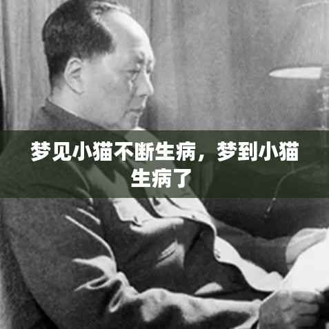 梦见小猫不断生病，梦到小猫生病了 