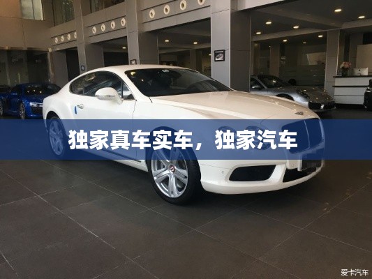 独家真车实车，独家汽车 