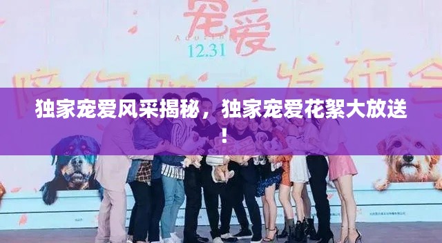 独家宠爱风采揭秘，独家宠爱花絮大放送！