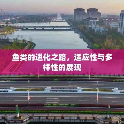 鱼类的进化之路，适应性与多样性的展现