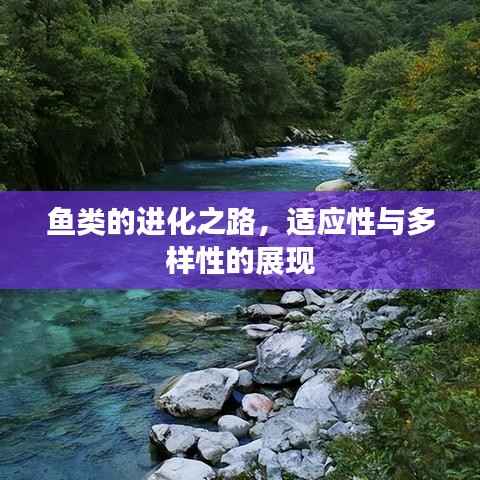 鱼类的进化之路,适应性与多样性的展现
