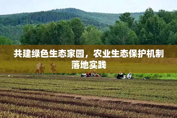共建绿色生态家园，农业生态保护机制落地实践