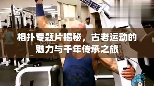 相扑专题片揭秘，古老运动的魅力与千年传承之旅