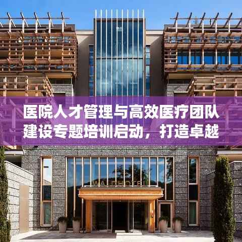 医院人才管理与高效医疗团队建设专题培训启动,打造卓越医疗团队的关键之道