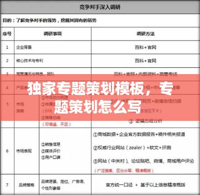 独家专题策划模板，专题策划怎么写 