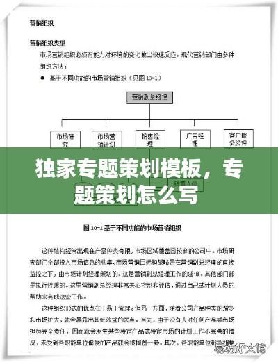 独家专题策划模板,专题策划怎么写