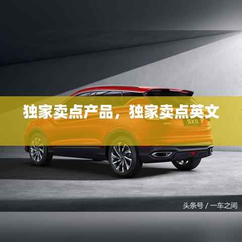 独家卖点产品,独家卖点英文