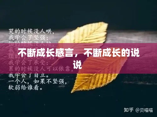 不断成长感言，不断成长的说说 