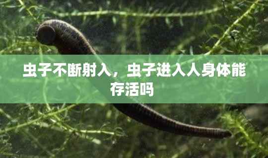 虫子不断射入,虫子进入人身体能存活吗