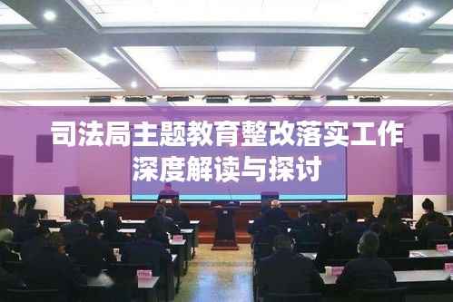 司法局主题教育整改落实工作深度解读与探讨