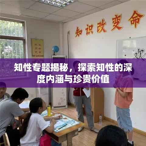 知性专题揭秘，探索知性的深度内涵与珍贵价值