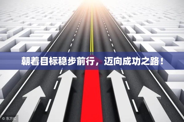 朝着目标稳步前行,迈向成功之路!