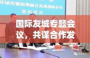 国际友城专题会议,共谋合作发展,携手共建友好城市