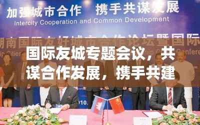 国际友城专题会议，共谋合作发展，携手共建友好城市