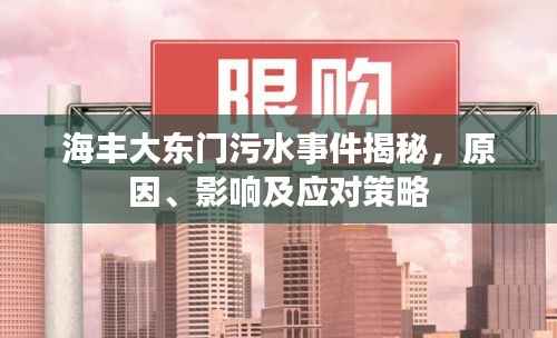 海丰大东门污水事件揭秘，原因、影响及应对策略