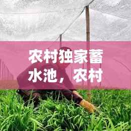 农村独家蓄水池，农村自建蓄水池 