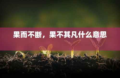 果而不断，果不其凡什么意思 
